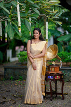 Tissue Saree